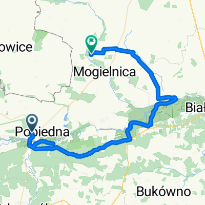 Pilica v1