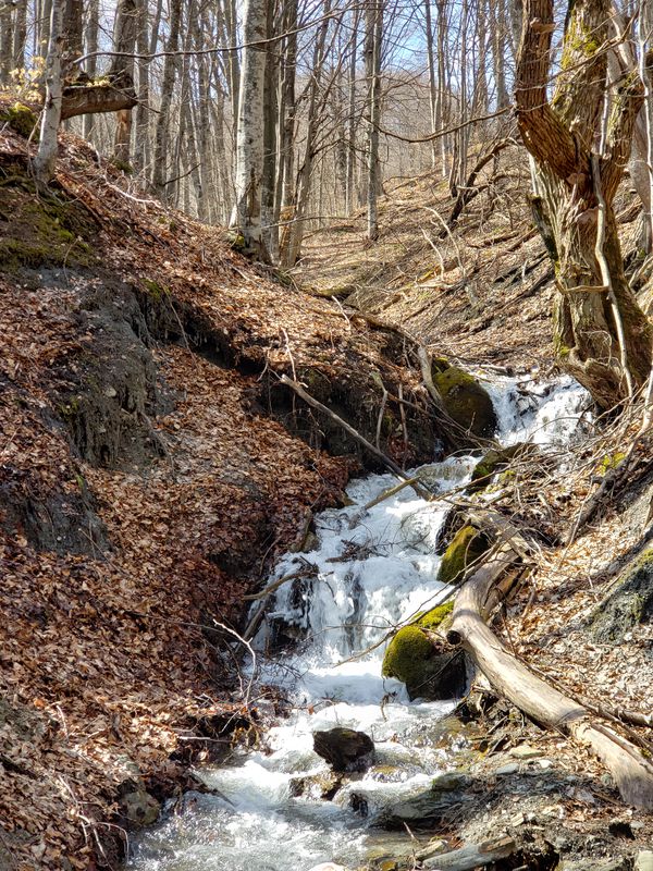 Tetove - Kosove (Strazha)