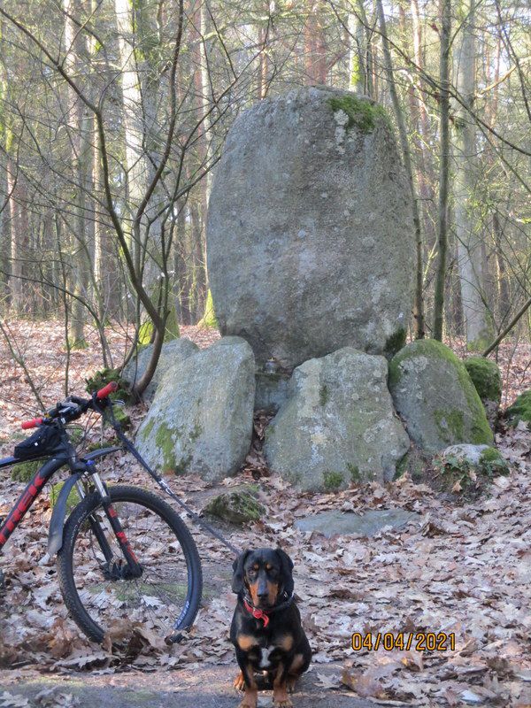 Zdzary do pomnika poległych w I ws z psiakiem