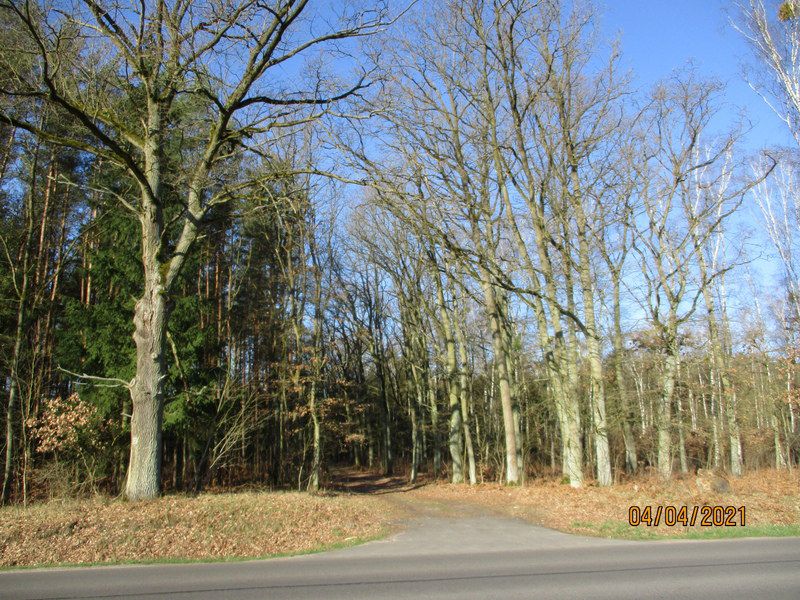 Zdzary do pomnika poległych w I ws z psiakiem