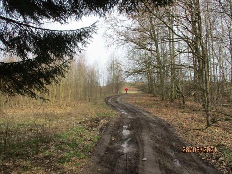 EDK kard. Wyszyńskiego
