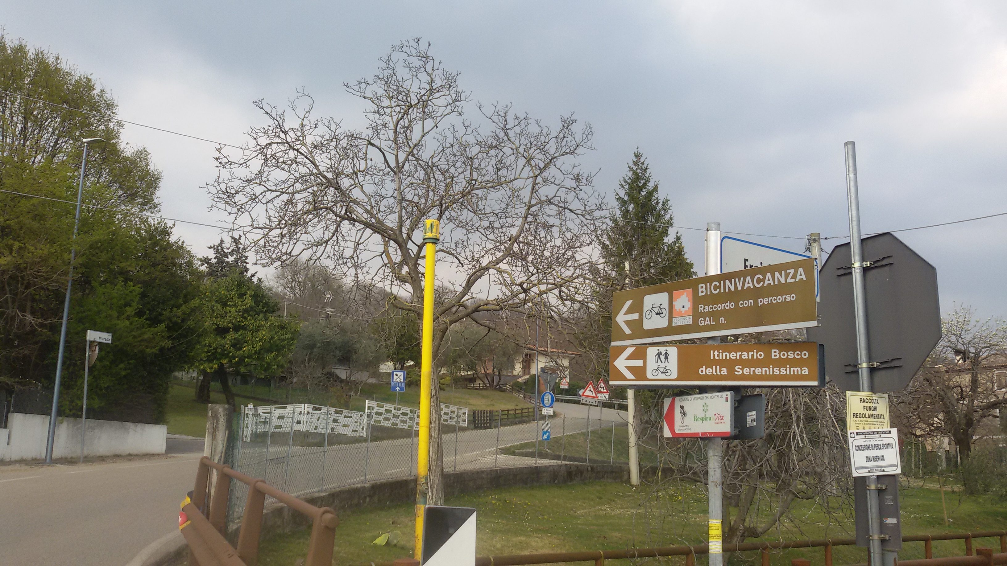 Hebe Bild 1 entlang der Bikemap-Route "IL MONTELLO A PEDALI - LA PRESA 11" hervor Hebe Bild 1 entlang der Bikemap-Route "IL MONTELLO A PEDALI - LA PRESA 11" hervor