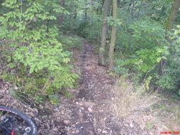 Hebe Bild 2 entlang der Bikemap-Route "Ein hoch und runter links der Elbe" hervor