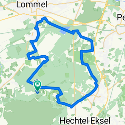 Fietsen door de Bomen in Bosland