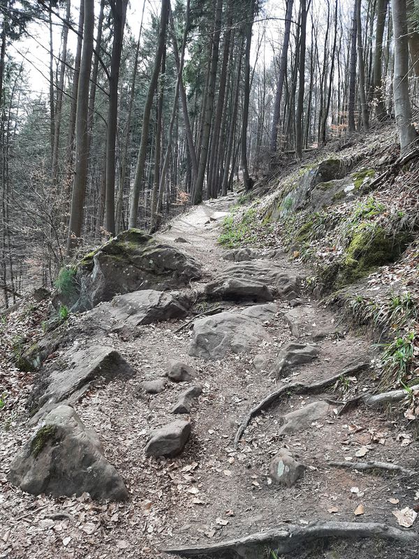 Leistadt - Drachenfels - Leistadt