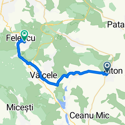 DJ103G 419, Aiton to Strada Principală 354B, Feleacu