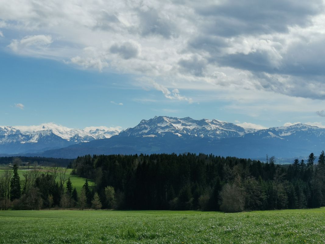 Route nach Chäppeliacher 4, Römerswil