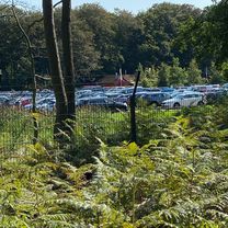 Op herhaling met uitstapje naar Pannenland