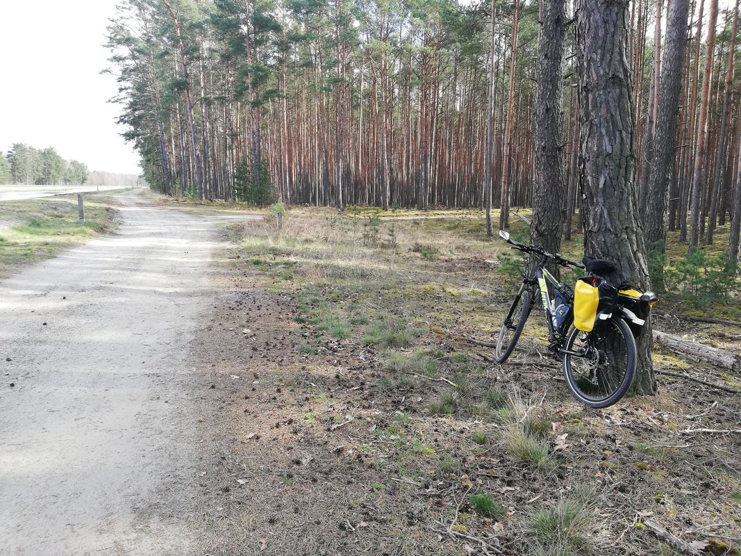 Turów 5, Podgórzyce do Turów 1, Podgórzyce
