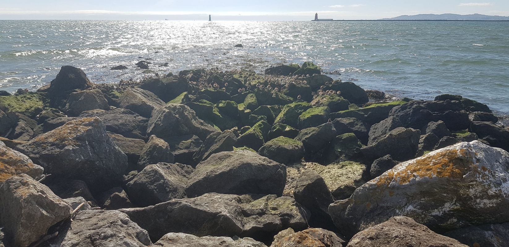 Quarry Road 104 to Baily, Mariners Cove, Stop 571, Dublin