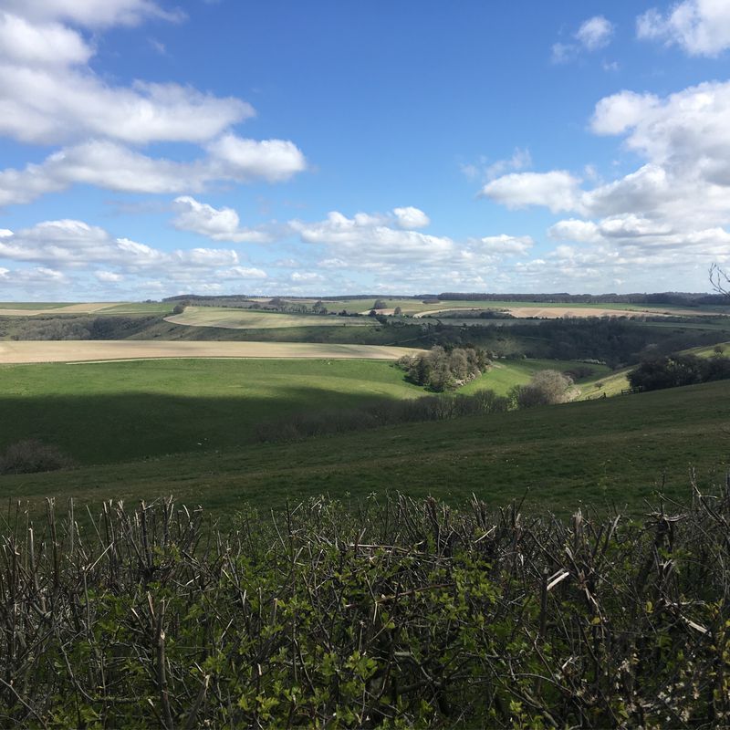 Tisbury - Sixpenny Handley - Broad Chalke loop