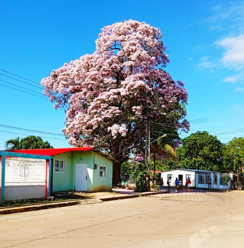 De Unnamed Road, San Fernando de Apure a Unnamed Road, San Fernando de Apure