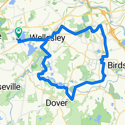 Wellesley/Needham Heights Loop