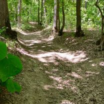 Photo 8 of the Bikemap route "Greci MTB Tour"