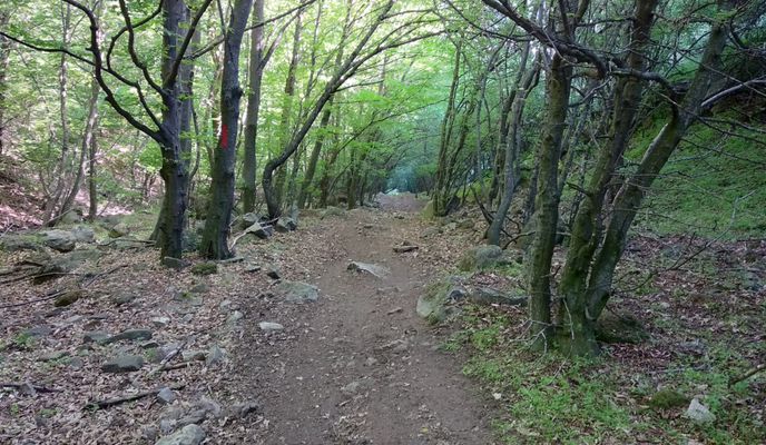 Photo 2 of the Bikemap route "Greci MTB Tour"