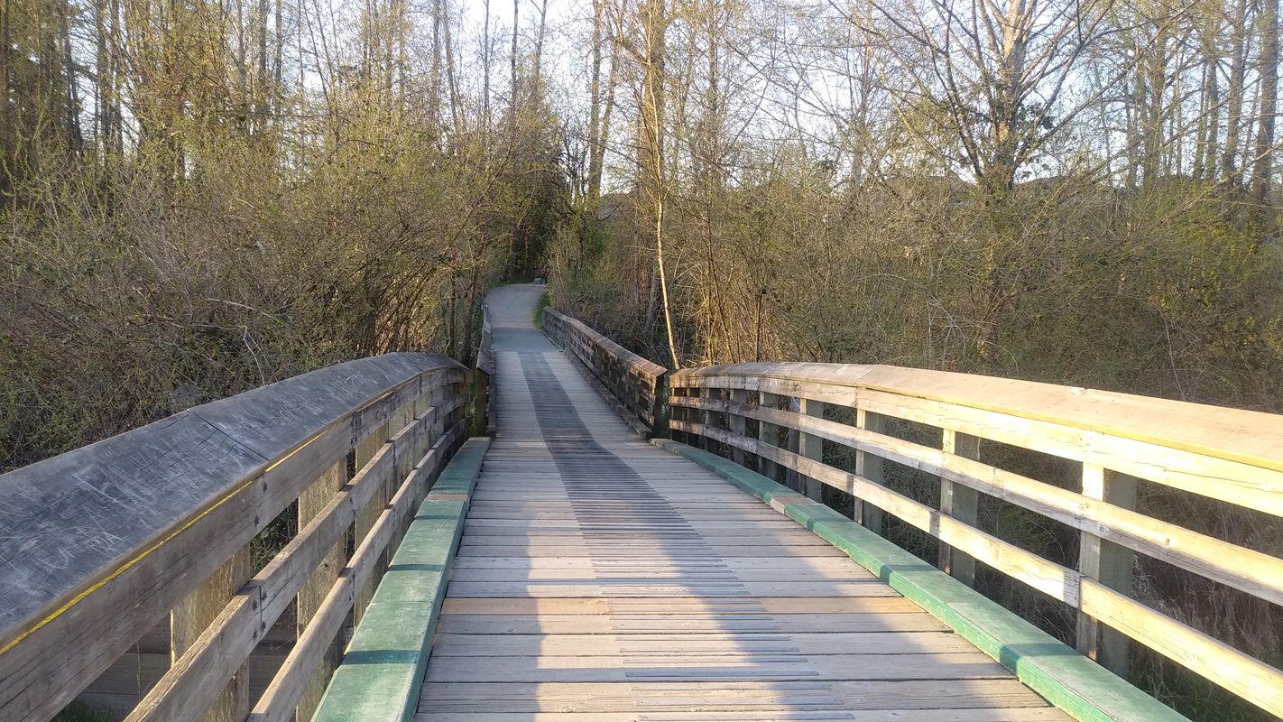 Maple Ridge to Albion Ferry