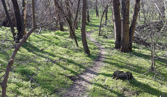 Photo 2 of the Bikemap route "Garboavele MausTrack"
