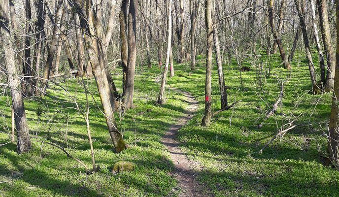 Photo 1 of the Bikemap route "Garboavele MausTrack"