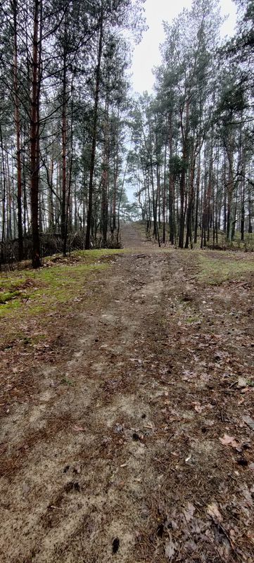 Leki trening MTB cz.1
