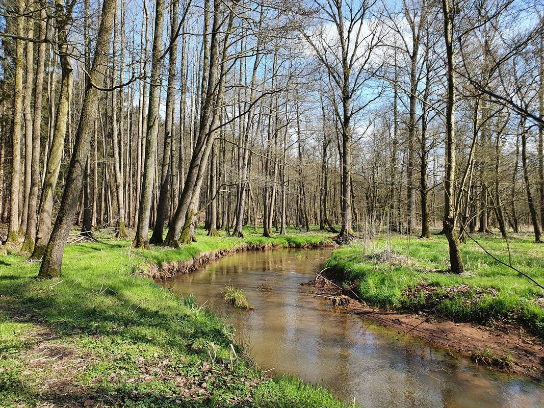 Breslauer Straße 31, Harpstedt nach Rotdornweg 6, Harpstedt