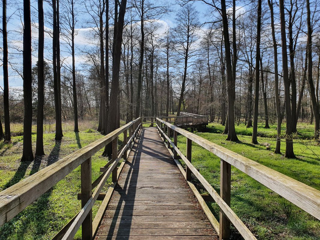 Breslauer Straße 31, Harpstedt nach Rotdornweg 6, Harpstedt