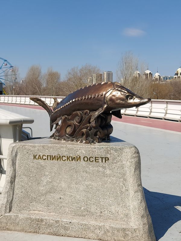 Ahmeta Bajtursynova Street 3, Nur-Sultan to Nur-Sultan