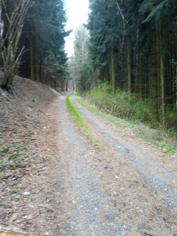 Steinbach im Burgenland to Hutwisch