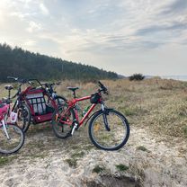 Marii Konopnickiej 16, Puck do Rzucewo 13–17, Żelistrzewo