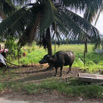 23km Magandang umaga! 4.20.2021