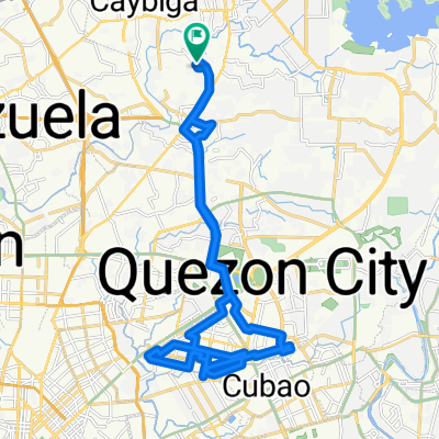 P Dela Cruz 190, Quezon City to tomas morato