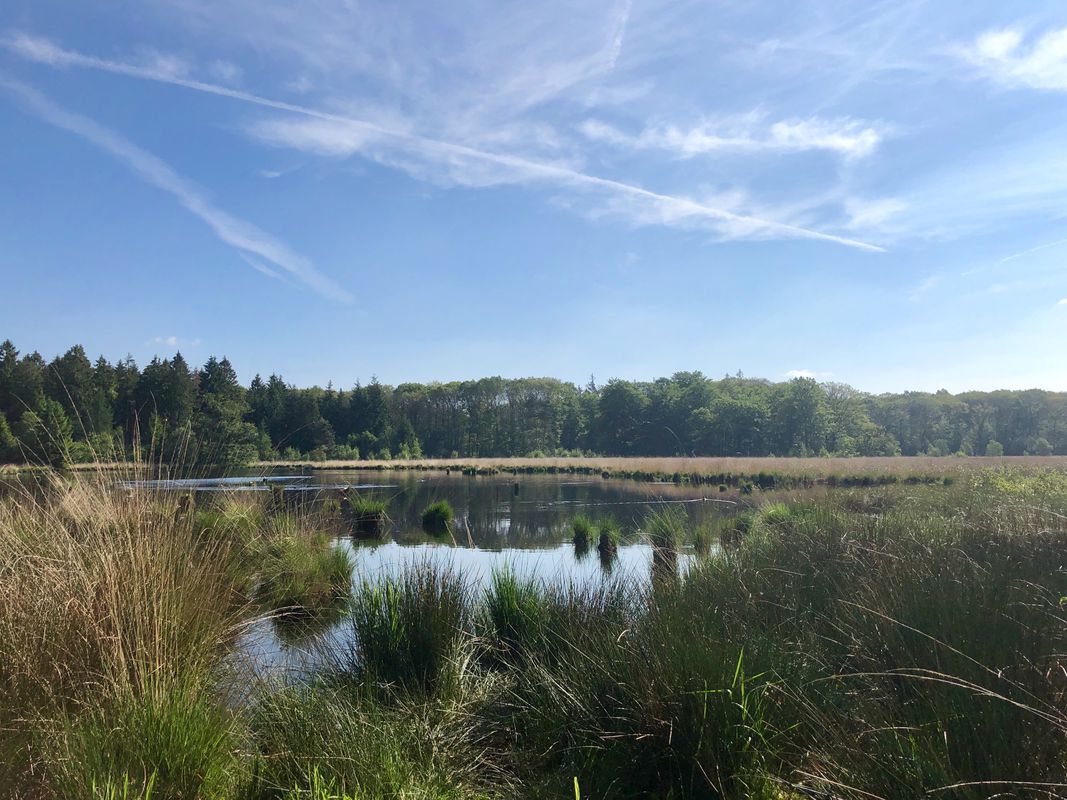 Rondje Grollerveld via Elp