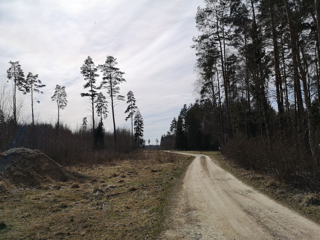 Oja, Kose to Alu 21, Kose