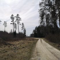 Oja, Kose to Alu 21, Kose