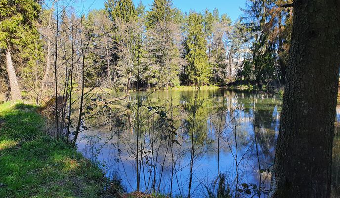 Foto 1 der Bikemap-Route "Neumarkt - Baggersee Schlierfer Heide"
