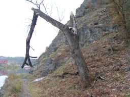 Destacado 3 en la ruta de Bikemap "Praha - Kralupy - Roudnice" Destacado 3 en la ruta de Bikemap "Praha - Kralupy - Roudnice"