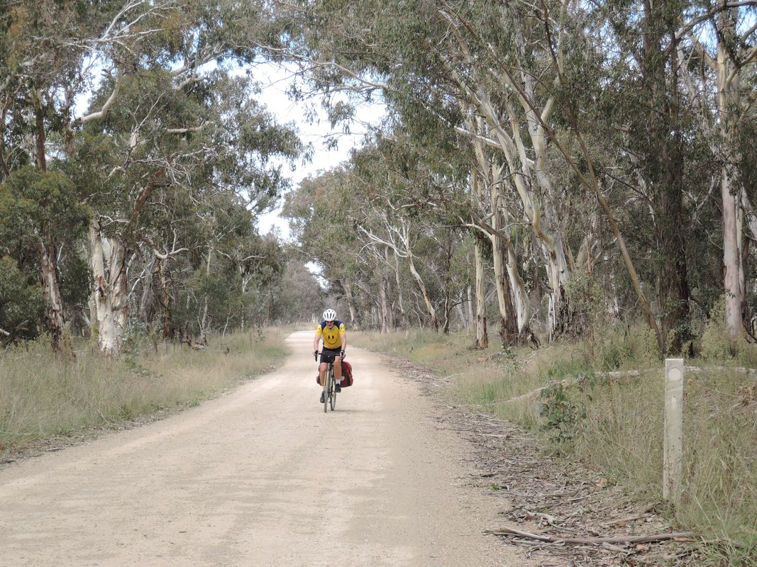 Armidale, Yarrowyck, Kingstown, Bendemeer and Walcha