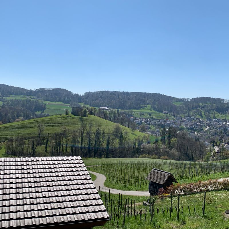 Under Rainstrasse, Teufen ZH nach Dorfstrasse 121, Embrach