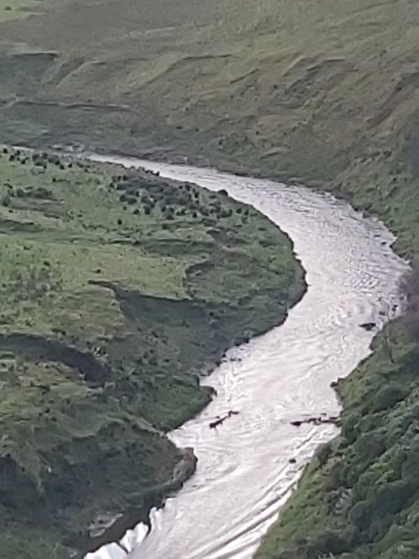 Hadfield Street 12, Patea to Hadfield Street 12, Patea