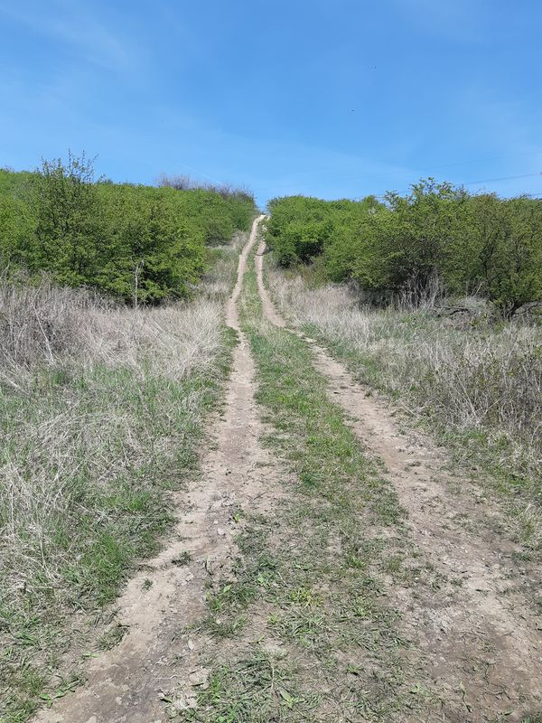 Csunya kör Pécel
