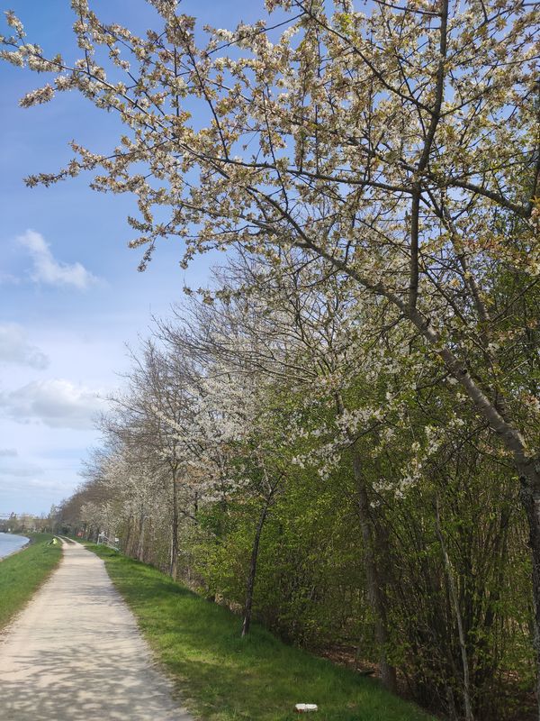 Lengericher Damm 25, Saerbeck nach Heckenstraße 11, Lienen