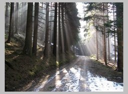 Highlight 5 along the Bikemap route "Schwarzenbach/Wald Rundstrecke"