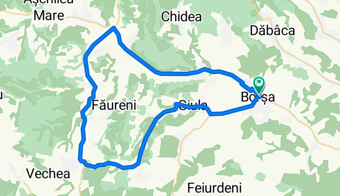 Borsa-Deusu-Vultureni-Borsa