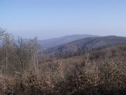 Punto saliente 3 lungo il percorso Bikemap "Békás-Dobogó-Szentendre-Bp" Punto saliente 3 lungo il percorso Bikemap "Békás-Dobogó-Szentendre-Bp"