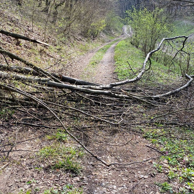 Na Zongorke 7604/4, Trenčín do Na Zongorke 7290/10, Trenčín