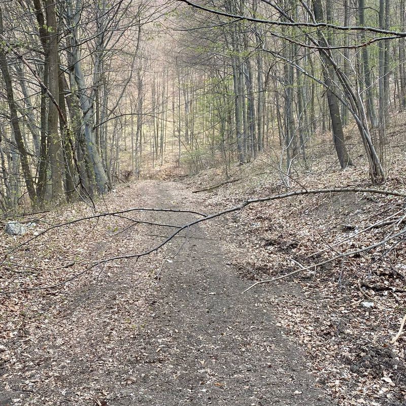 Na Zongorke 7604/4, Trenčín do Na Zongorke 7290/10, Trenčín