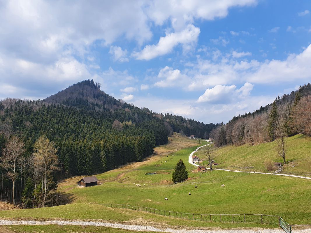 Gmunden - Hochsteinalm - Gmunden