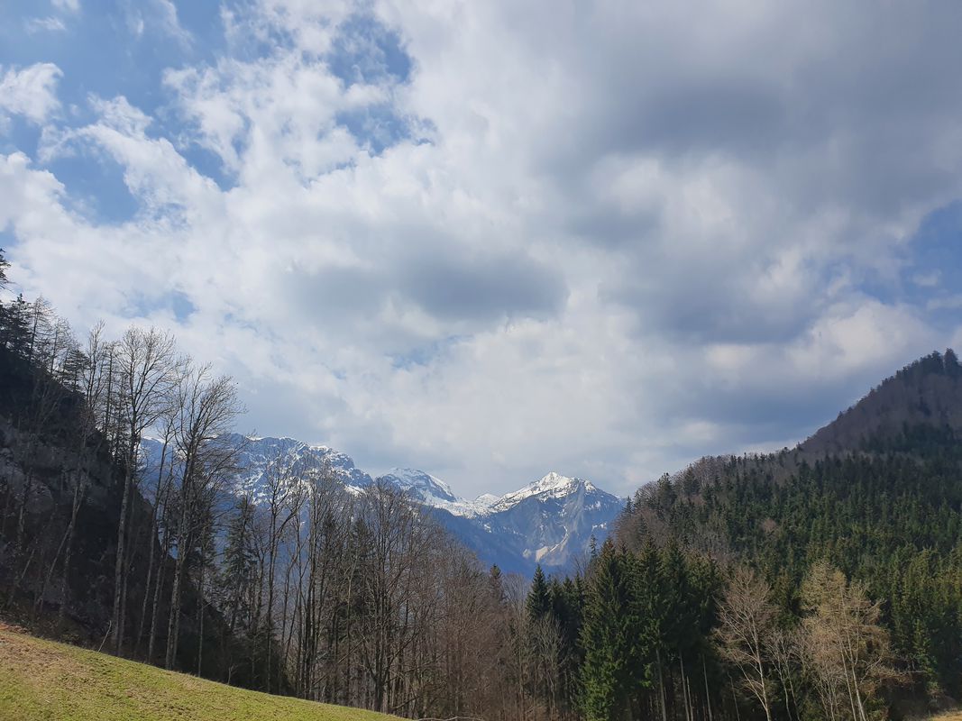 Gmunden - Hochsteinalm - Gmunden