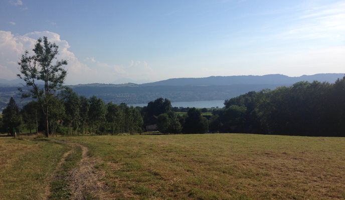 Photo 2 of the Bikemap route "[ZO] 3 Toebeli (Uster - Uster)"