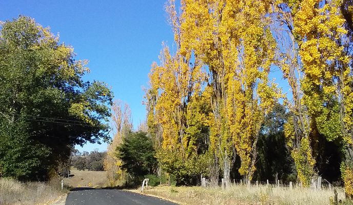 Photo 2 of the Bikemap route "Lagoon rd loop, Guyra"