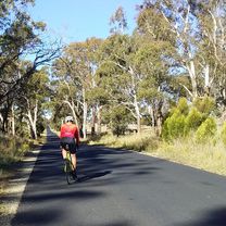 Lagoon rd loop, Guyra